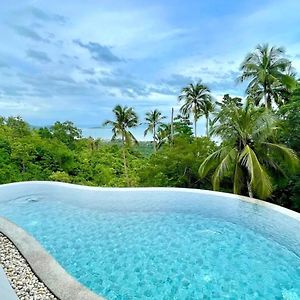 Villa Oikos 2Br - Private Infinity Pool & Seaview